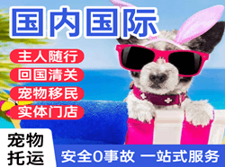 广元盘龙航空邮寄国际宠物托运 【国